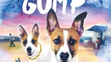 Gump – jsme dvojka - Letní kino Vodní hrad Lipý