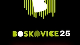 Boskovice - festival pro židovskou čtvrť 2025 - Boskovice