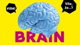 Brain - dočasná výstava ve VIDA!
