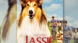 Lassie: Nové dobrodružství - Hulín