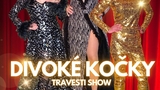 travesti show Divoké kočky v Chodové Plané