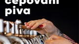 Škola čepování piva v Rodinném pivovaru Bernard