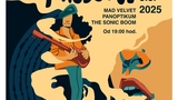 Mad Velvet, Panoptikum, The Sonic Boom - Klub Paderewski