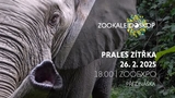 Prales zítřka - ZooExpo Liberec