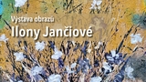 Výstava obrazů Ilony Jančiové s názvem Emoce barev - Galerie Samson Cafeé