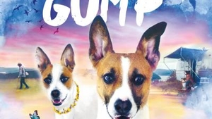 Gump – jsme dvojka - Letní kino Vodní hrad Lipý