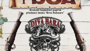 Divá Bára + YBCA - Brno