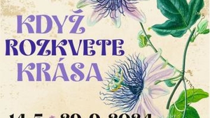 Výstava: Když rozkvete krása - Muzeum Boskovicka