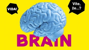 Brain - dočasná výstava ve VIDA!