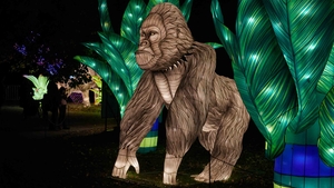 Projekt Světelná zoo, připravila v Zoo Praha firma Garden of Lights