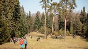 Zimní den otevřených dveří – Arboretum Řícmanice