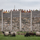 Keltský skanzen Nasavrky – Země Keltů