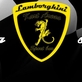 Adrenalinový svět Lamborghini Kart Arena vás uchvátí. To jsou Motokáry Olomouc!