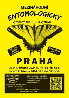 Prodejní výstava brouků a motýlů v pražském Hotelu Olympik