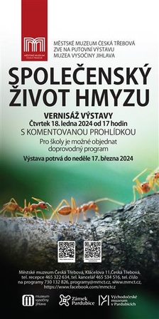 Společenský život hmyzu v Městském muzeu Česká Třebová