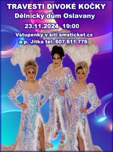 Travesti show Divoké kočky v OSLAVANECH