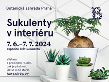 SUKULENTY V INTERIÉRU – Prodejní výstava v Botanické zahradě Praha