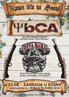 Divá Bára + YBCA - Brno