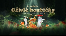 Oživlé houbičky - Trutnov