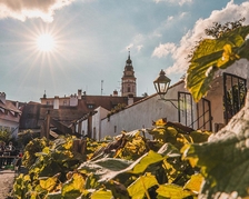 Návrat zmizelých vinic – Český Krumlov Wine Tour