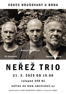 Neřež Trio - koncert v Hrušovanech