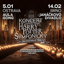 Koncert filmové hudby Harry Potter Tribute - Brno