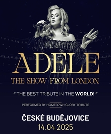 Adele - The show from London v Českých Budějovicích