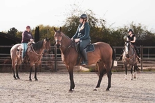 Václav Bořánek - Horsemanship I. - Toulcův dvůr