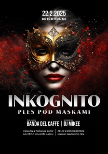 Inkognito ples pod maskami v BrickHouse DOV