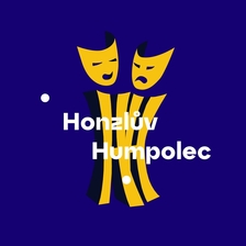 Honzlův Humpolec - Dokonalá svatba