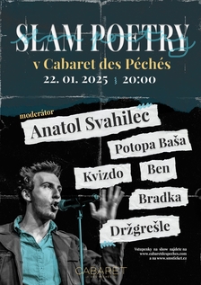 Slam poetry exhibice v Brně