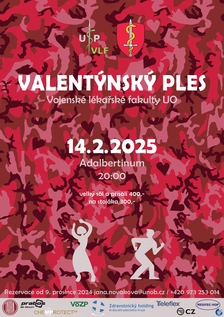 Valentýnský ples v Adalbertinu