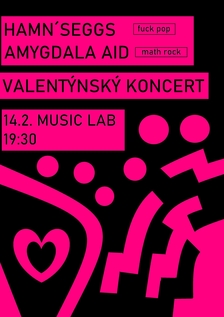 Hamn’Seggs + Amygdala Aid - Valentýnský koncert v Music Labu