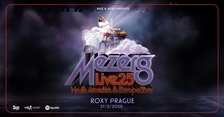 Marc Mezergue - Mezerg live 2025 v Roxy