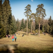 Zimní den otevřených dveří – Arboretum Řícmanice