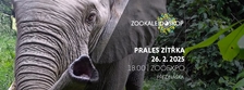 Prales zítřka - ZooExpo Liberec