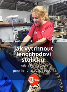 Jak vytrhnout lenochodovi stoličku - Expediční klubovna