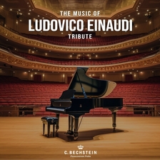 Ludovico Einaudi Music - Chomutov