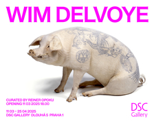 Wim Delvoye v DSC Gallery